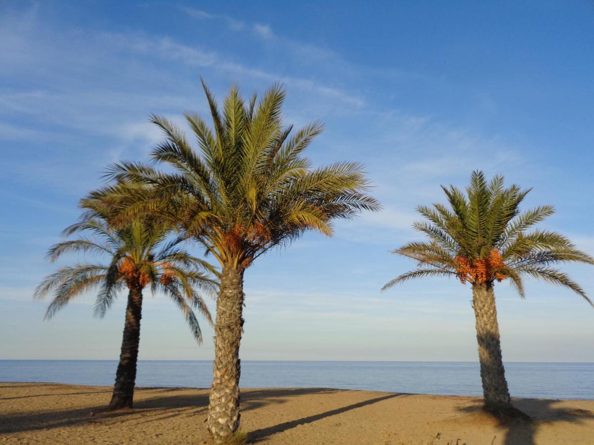 Precioso Apart Sur Y Norte Cerca Playa Y Centro - Cascadas De La Marina Dénia Buitenkant foto